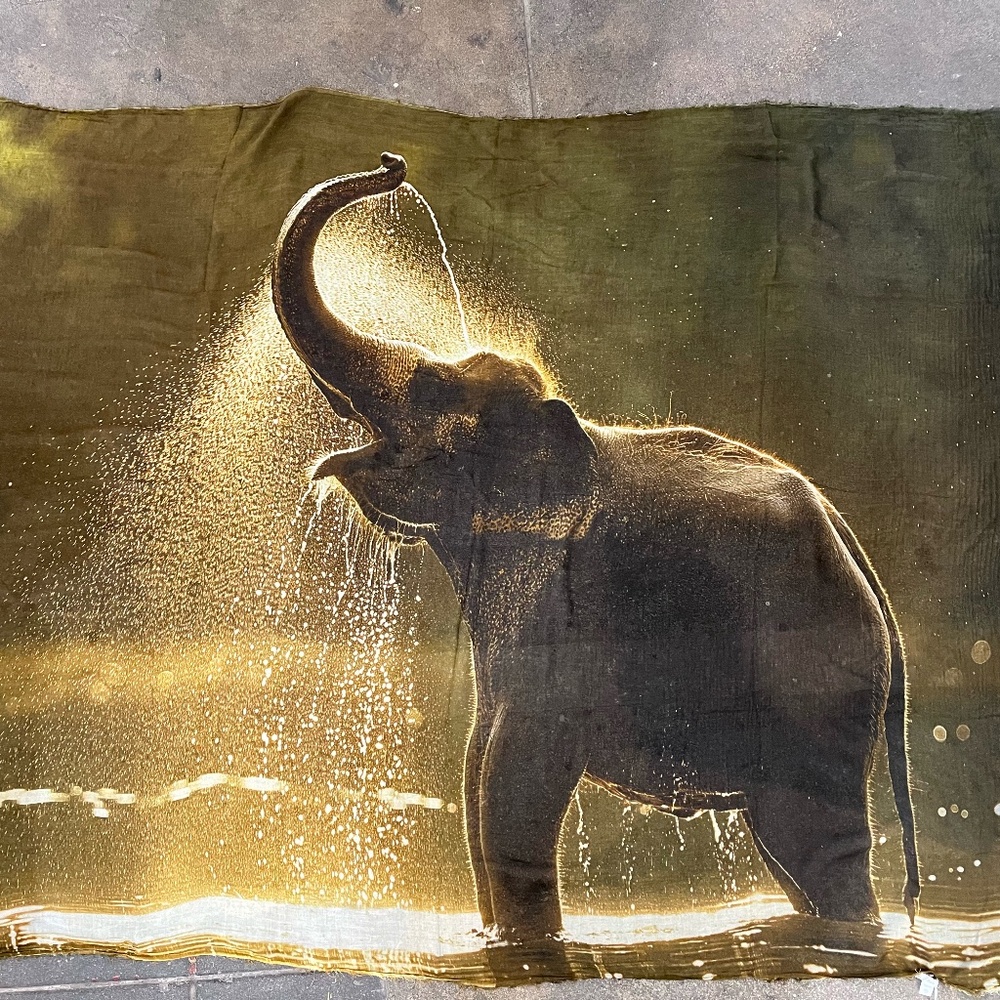 Ottotredici Scarf “Elephant Joy”